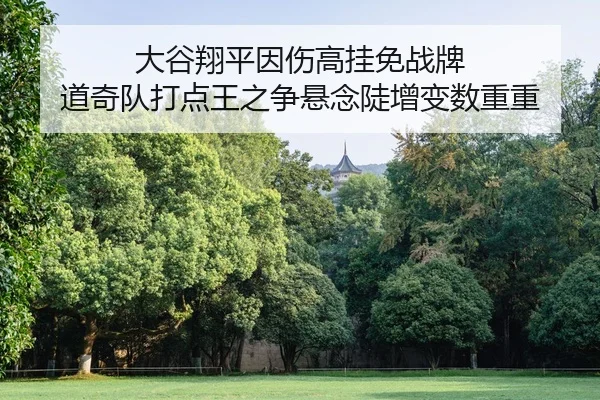da-gu-xiang-ping-yin-shang-gao-gua-mian-zhan-pai-dao-qi-dui-da-dian-wang-zhi-zheng-xuan-nian-dou-zeng-bian-shu-chong-2-175.jpg