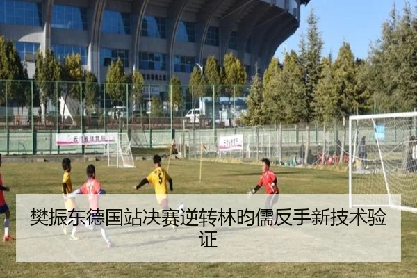 樊振东德国站决赛逆转林昀儒反手新技术验证